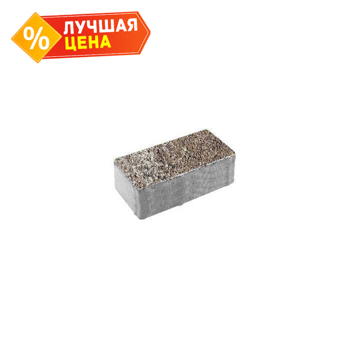 Плитка тротуарная Прямоугольник (Ла-Линия) Б.2.П.8 Листопад гранит xаски 200x100x80 мм